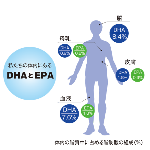 DHA・EPA・セサミン