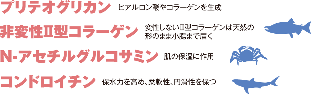 フレックスPG - 日本メディカル電子株式会社